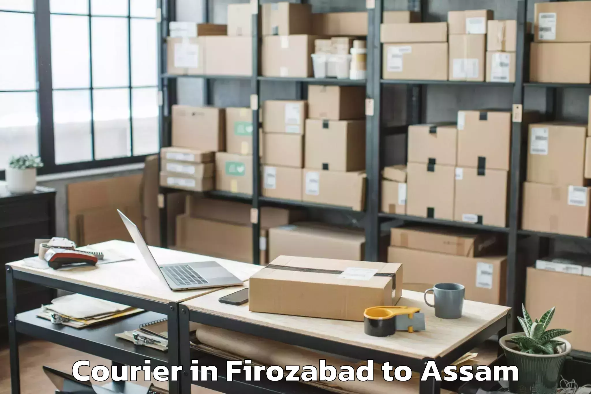 Hassle-Free Firozabad to Samaguri Courier